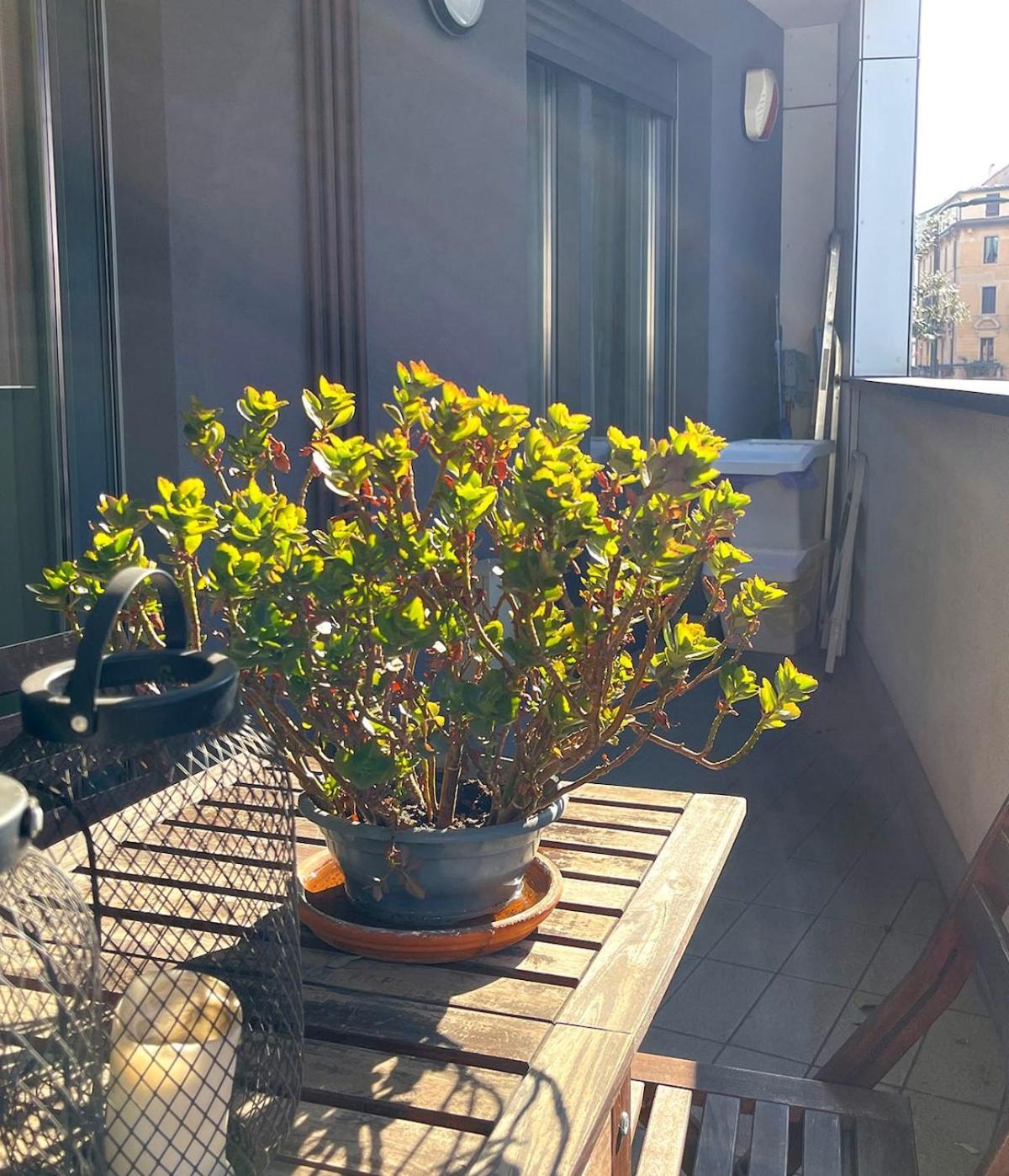 Suite Porta Romana Milán Exterior foto